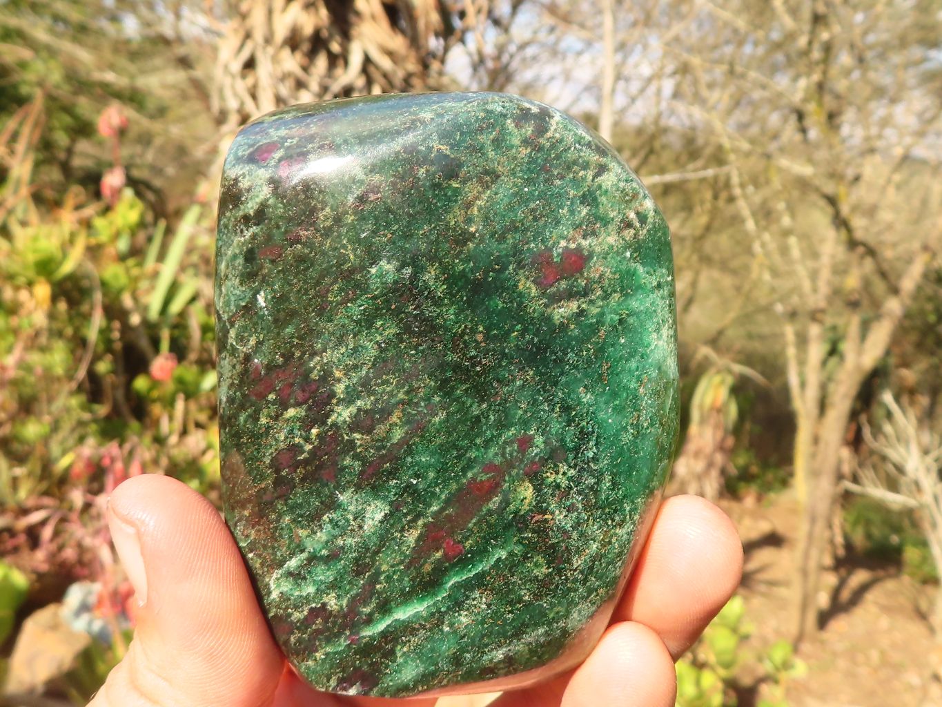 Polished  Fluorescent Ruby Corundum In Chrome Verdite Free Forms x 5 From Zimbabwe - Toprock Gemstones and Minerals 