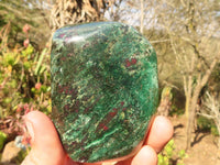 Polished  Fluorescent Ruby Corundum In Chrome Verdite Free Forms x 5 From Zimbabwe - Toprock Gemstones and Minerals 