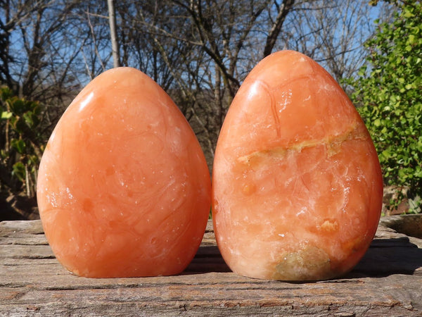 Polished Orange Twist Calcite Standing Free Forms x 2 From Maevantanana, Madagascar - Toprock Gemstones and Minerals 