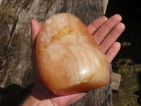 Polished Orange Twist Calcite Standing Free Form  x 1 From Madagascar - TopRock