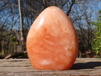 Polished Orange Twist Calcite Standing Free Forms x 2 From Maevantanana, Madagascar - Toprock Gemstones and Minerals 