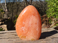 Polished Orange Twist Calcite Standing Free Forms x 2 From Maevantanana, Madagascar - Toprock Gemstones and Minerals 