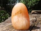 Polished Orange Twist Calcite Standing Free Form  x 1 From Madagascar - TopRock
