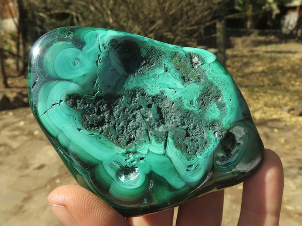 Polished Malachite Free Forms With Stunning Flower & Banding Patterns x 6 From Congo - TopRock