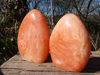 Polished Orange Twist Calcite Standing Free Forms x 2 From Maevantanana, Madagascar - Toprock Gemstones and Minerals 