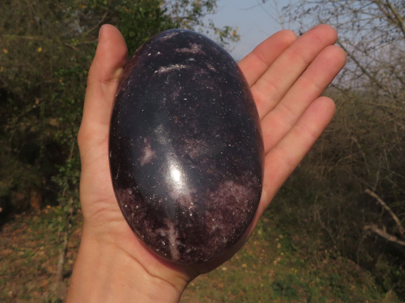 Polished Dark Purple Lepidolite Free Forms  x 4 From Zimbabwe - TopRock
