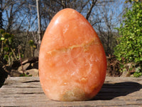 Polished Orange Twist Calcite Standing Free Forms x 2 From Maevantanana, Madagascar - Toprock Gemstones and Minerals 