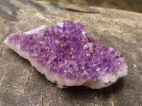 Natural Small Dark "Amethystos" Amethyst Clusters x 63 From Kwaggafontein, South Africa - TopRock