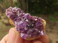 Natural Small Dark "Amethystos" Amethyst Clusters x 63 From Kwaggafontein, South Africa - TopRock