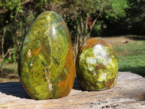 Polished Vibrant Green Opal Standing Free Forms x 2 From Antsirabe, Madagascar - TopRock