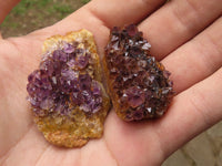 Natural Small Dark "Amethystos" Amethyst Clusters x 63 From Kwaggafontein, South Africa - TopRock