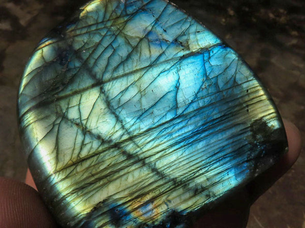 Polished Labradorite Standing Free Forms With Intense Blue & Gold Flash x 6 From Tulear, Madagascar - TopRock