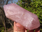 Polished Gemmy Double Terminated Rose Quartz Points x 3 From Madagascar - Toprock Gemstones and Minerals 