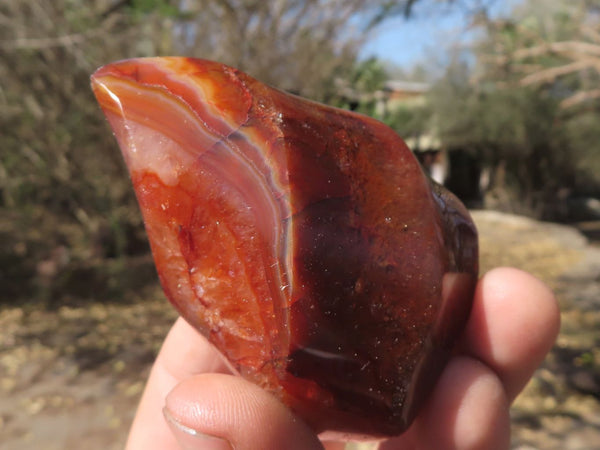 Polished Small Beautiful Dark Red Carnelian Flames  x 6 From Madagascar - TopRock