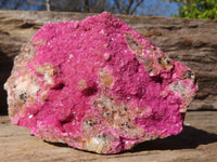 Natural Pink Salrose Cobaltion Dolomite Specimens  x 5 From Kakanda, Congo