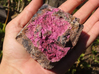 Natural Pink Salrose Cobaltion Dolomite Specimens  x 5 From Kakanda, Congo