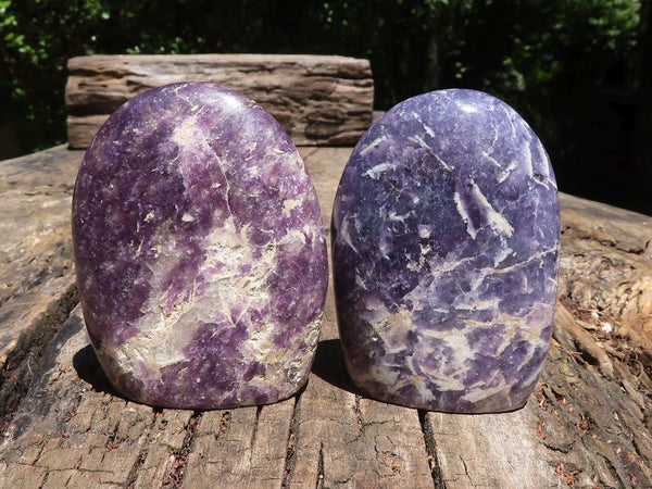 Polished Purple Lepidolite Standing Free Forms  x 6 From Madagascar - TopRock