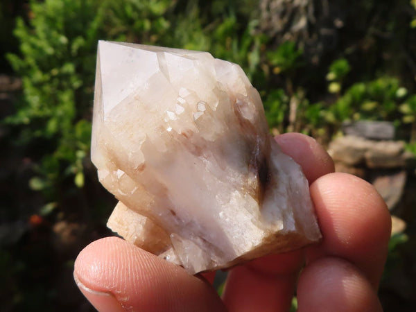 Natural Pineapple Candle Quartz Crystals  x 35 From Antsirabe, Madagascar - Toprock Gemstones and Minerals 