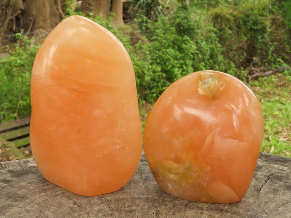 Polished Orange Twist Calcite Standing Free Forms  x 2 From Madagascar - TopRock