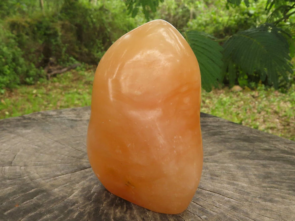 Polished Orange Twist Calcite Standing Free Forms  x 2 From Madagascar - TopRock