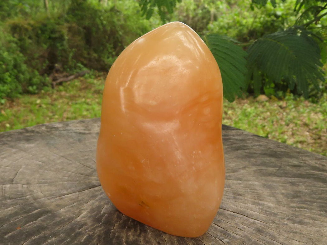 Polished Orange Twist Calcite Standing Free Forms  x 2 From Madagascar - TopRock