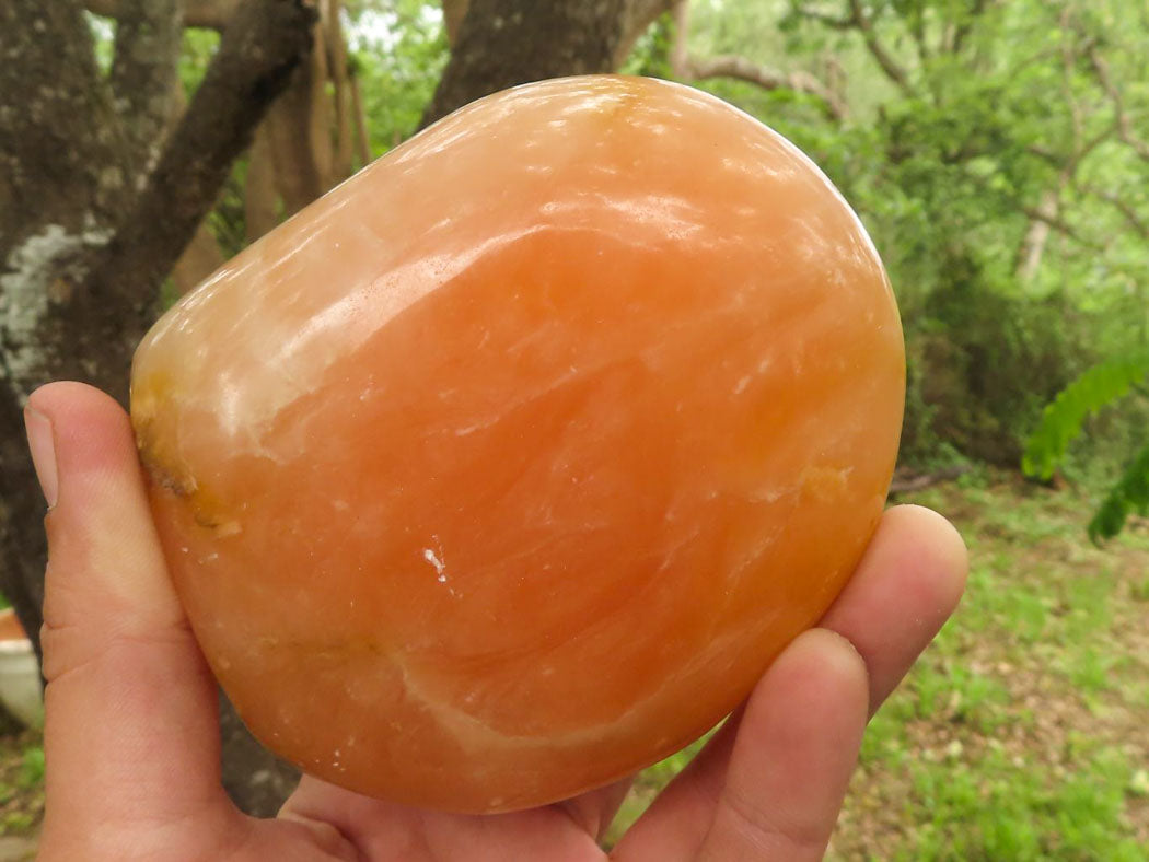 Polished Orange Twist Calcite Standing Free Forms  x 2 From Madagascar - TopRock