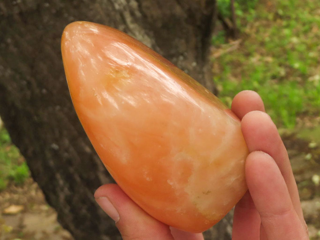 Polished Orange Twist Calcite Standing Free Forms  x 2 From Madagascar - TopRock