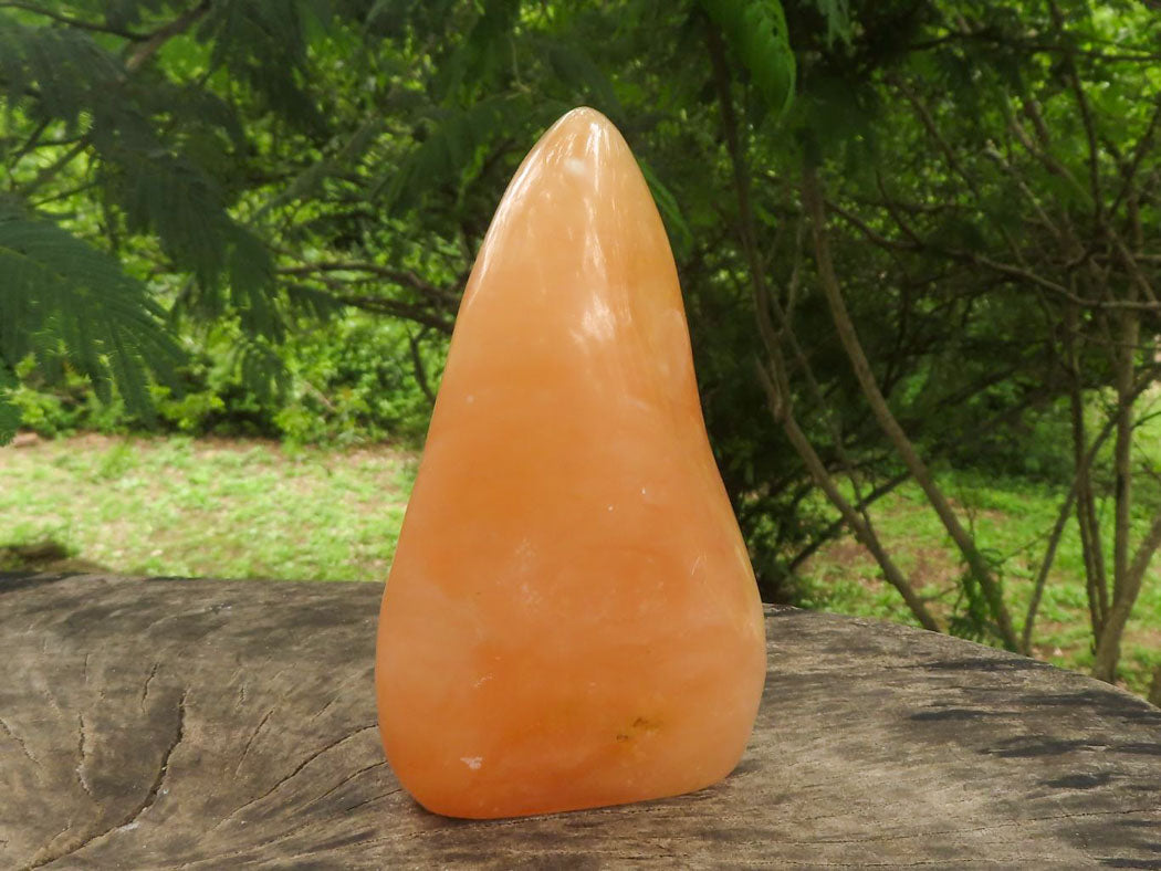 Polished Orange Twist Calcite Standing Free Forms  x 2 From Madagascar - TopRock