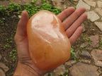 Polished Orange Twist Calcite Standing Free Forms  x 2 From Madagascar - TopRock