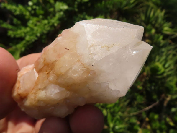 Natural Highly Selected Pineapple Candle Quartz Crystals  x 13 From Antsirabe, Madagascar - Toprock Gemstones and Minerals 