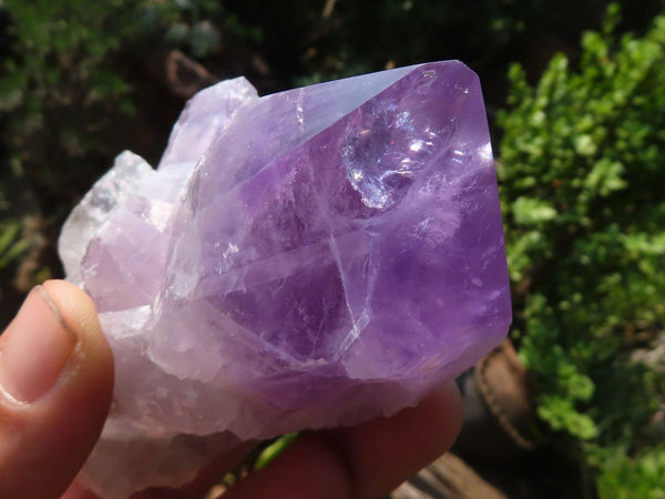 Natural Jacaranda Amethyst Clusters  x 6 From Mumbwa, Zambia - Toprock Gemstones and Minerals 