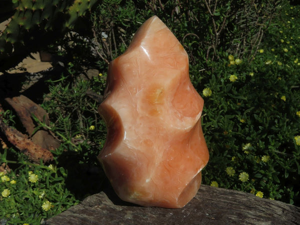 Polished Orange Calcite Flame x 1 From Madagascar - TopRock
