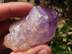Natural Jacaranda Amethyst Clusters  x 6 From Mumbwa, Zambia - Toprock Gemstones and Minerals 