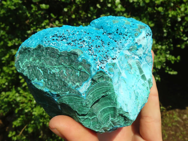 Natural Blue Chrysocolla On Silky Malachite Specimens  x 2 From Congo - Toprock Gemstones and Minerals 