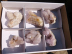 Natural Mixed Spirit Ametrine / Amethyst Quartz Clusters  x 6 From Boekenhouthoek, South Africa - Toprock Gemstones and Minerals 