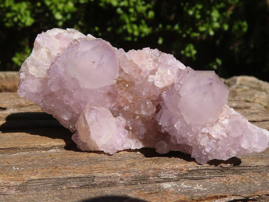Natural Mixed Spirit Ametrine / Amethyst Quartz Clusters  x 6 From Boekenhouthoek, South Africa - Toprock Gemstones and Minerals 