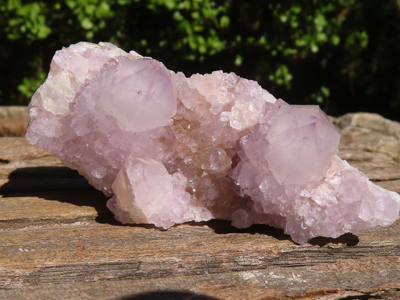 Natural Mixed Spirit Ametrine / Amethyst Quartz Clusters  x 6 From Boekenhouthoek, South Africa - Toprock Gemstones and Minerals 