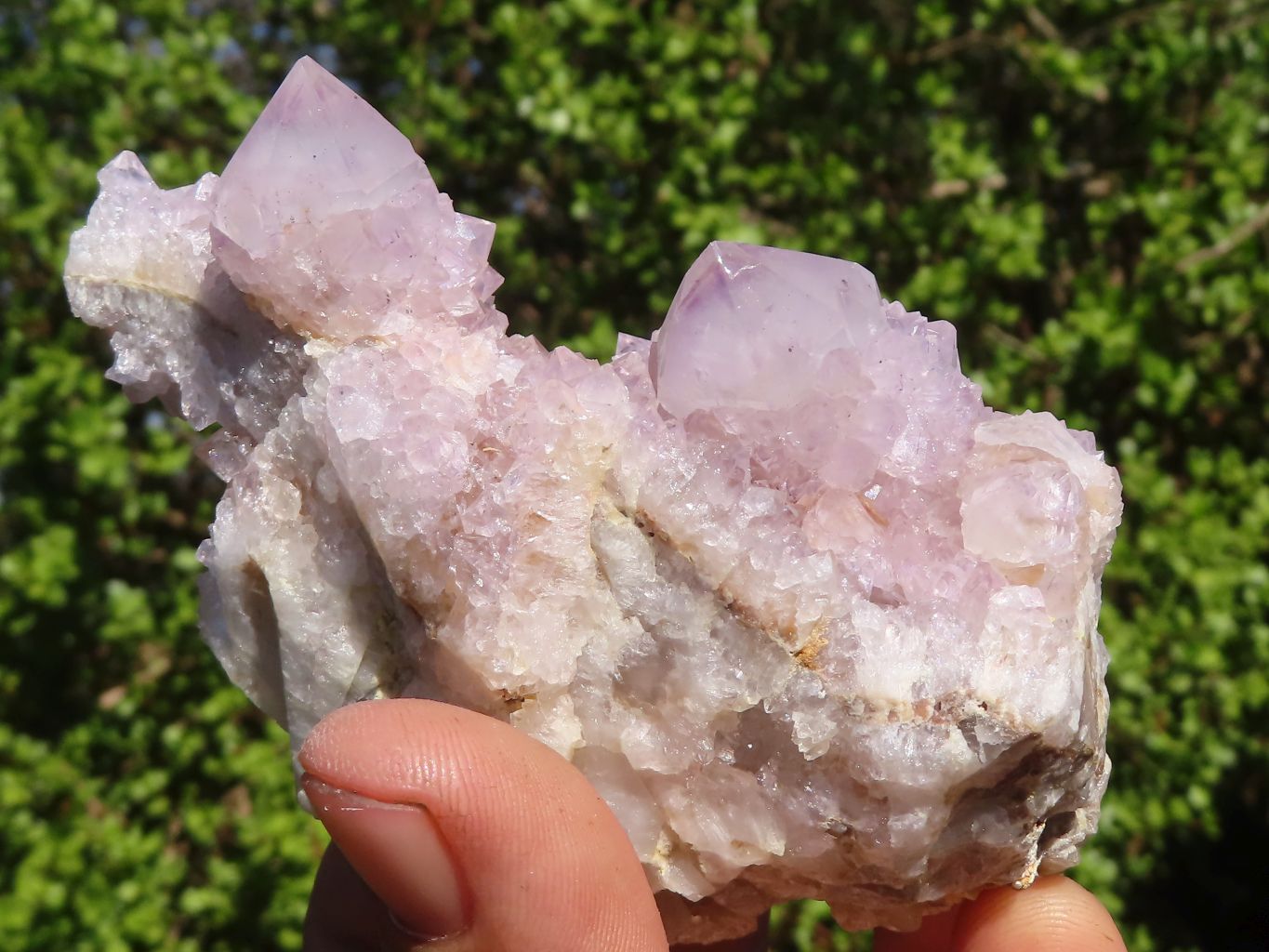 Natural Mixed Spirit Ametrine / Amethyst Quartz Clusters  x 6 From Boekenhouthoek, South Africa - Toprock Gemstones and Minerals 