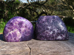 Polished Lepidolite Free Forms & Standing Free Forms x 4 From Zimbabwe - TopRock