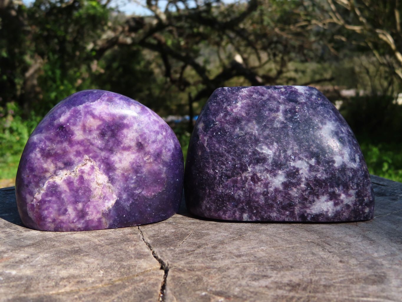 Polished Lepidolite Free Forms & Standing Free Forms x 4 From Zimbabwe - TopRock