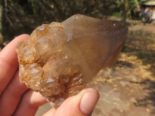 Natural Cascading Smokey Phantom Quartz Clusters x 6 From Luena, Congo - TopRock