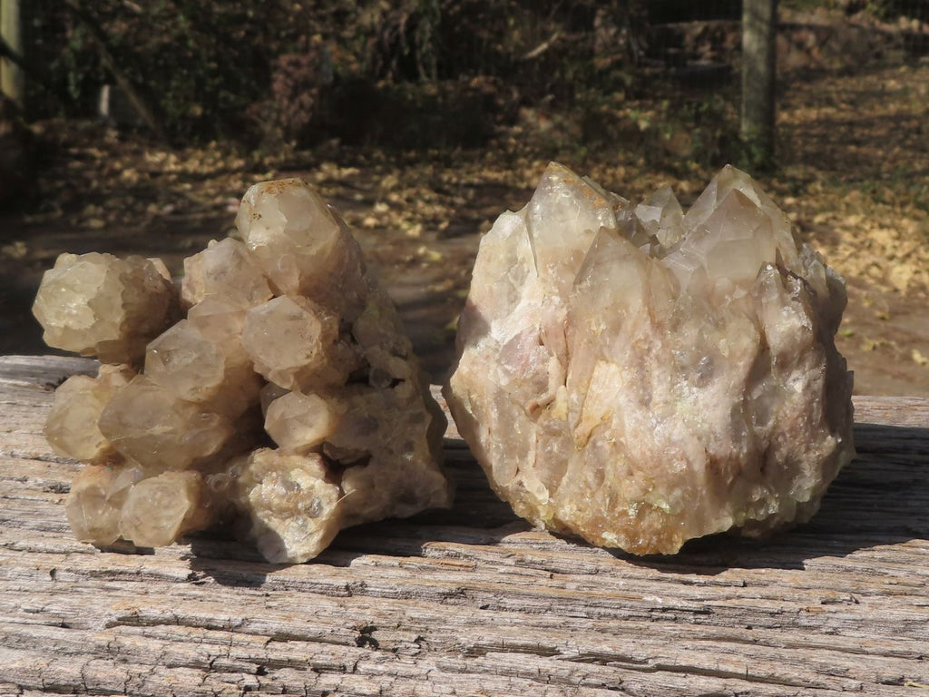 Natural Smokey Phantom Quartz Clusters  x 2 From Luena, Congo - TopRock