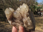 Natural Smokey Phantom Quartz Clusters  x 2 From Luena, Congo - TopRock