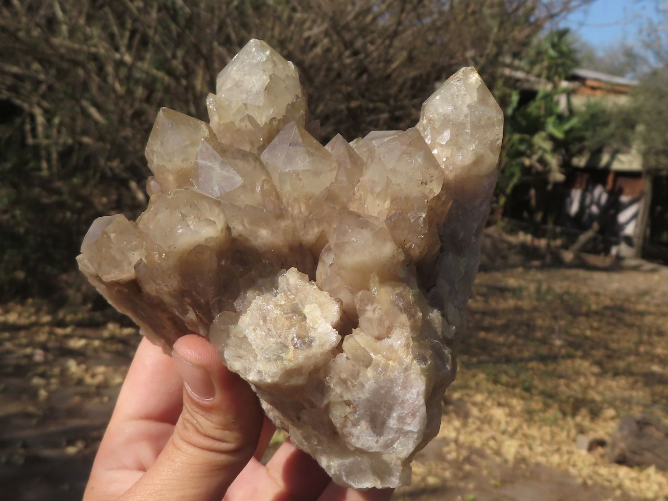 Natural Smokey Phantom Quartz Clusters  x 2 From Luena, Congo - TopRock