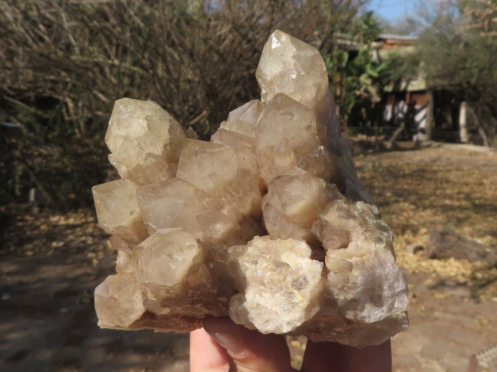 Natural Smokey Phantom Quartz Clusters  x 2 From Luena, Congo - TopRock