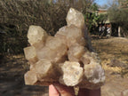 Natural Smokey Phantom Quartz Clusters  x 2 From Luena, Congo - TopRock
