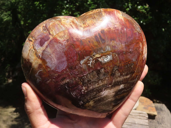 Polished Extra Large Petrified Red Wood Heart  x 1 From Madagascar - TopRock