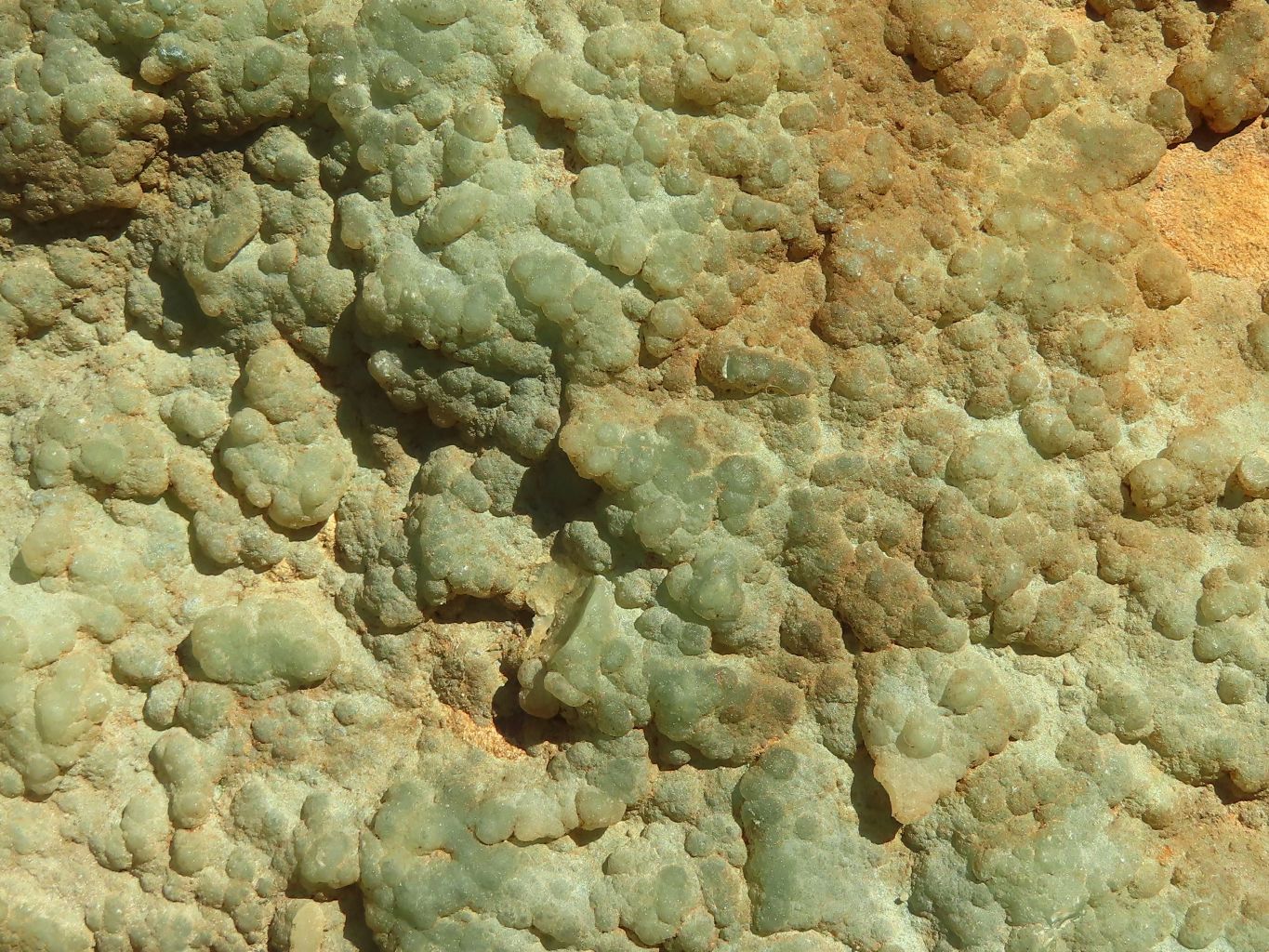 Polished Green Mtorolite / Emerald Chrome Chrysoprase Plates  x 2 From Zimbabwe - Toprock Gemstones and Minerals 