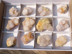 Natural White Cactus Spirit Quartz Clusters  x 12 From Boekenhouthoek, South Africa - Toprock Gemstones and Minerals 