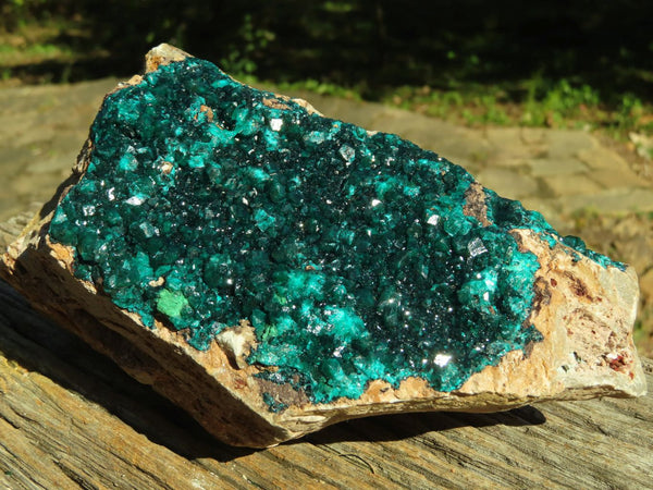 Natural XL Dioptase Cabinet Specimen With Shiny Emerald Green Crystals x 1 From Congo - TopRock